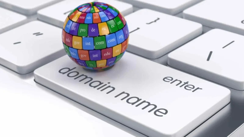 Domain Reg